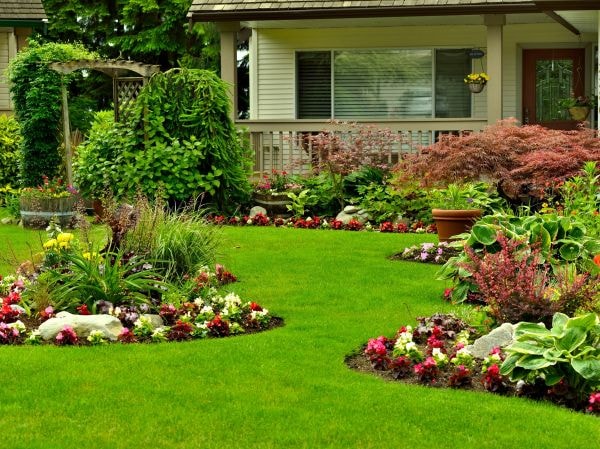 Luna Landscaping project