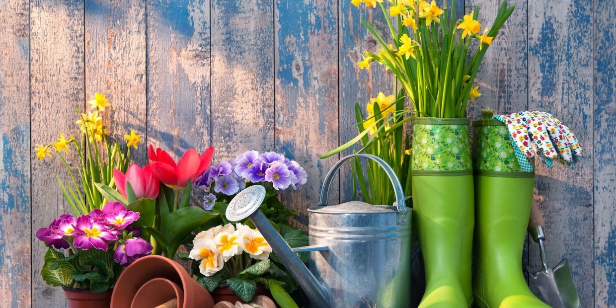 Carlos M. — Luna Landscaping customer